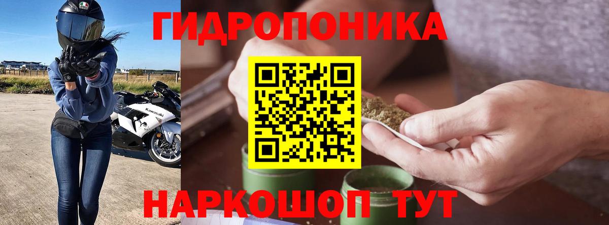 Бошки Шишки план Тавда